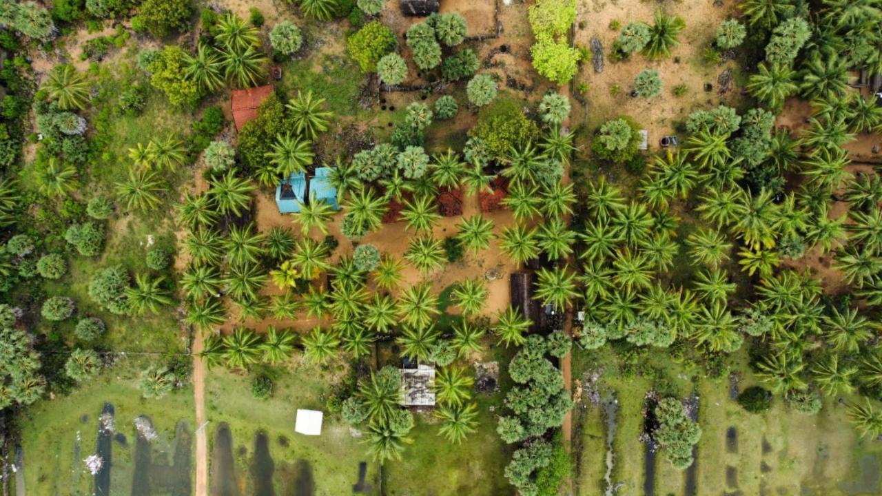 Araliya Villa Kalpitiya Exterior photo