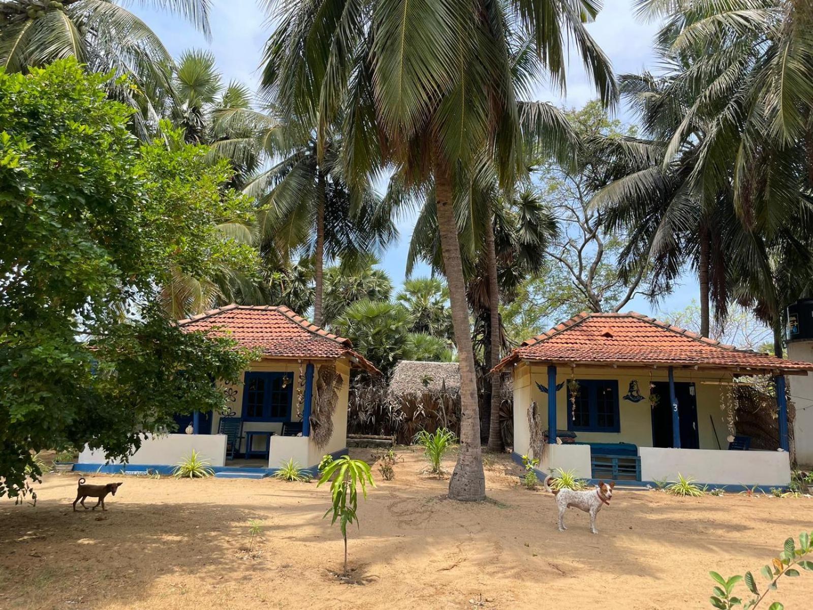 Araliya Villa Kalpitiya Exterior photo