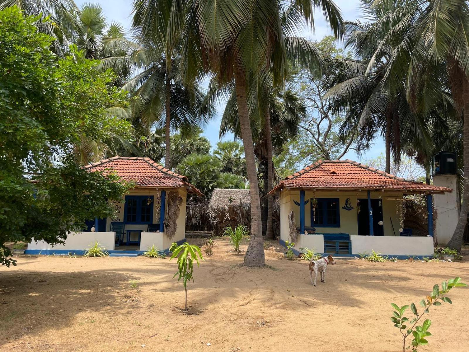 Araliya Villa Kalpitiya Room photo